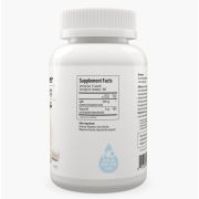 Maxler GABA 500мг., 100 капс.