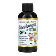 California Gold Nutrition Sambucus for kids with echinacea, 120 мл.