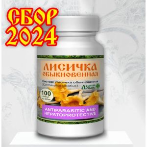 Лесной Лекарь Лисичка обыкновенная, 100 капс.