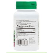 Natures Plus Gymnema Sylvestre, 60 капс.